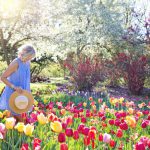 Useful tips for spring