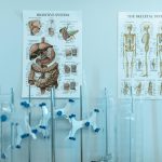 Recientes estudios resaltan la importancia de la microbiota